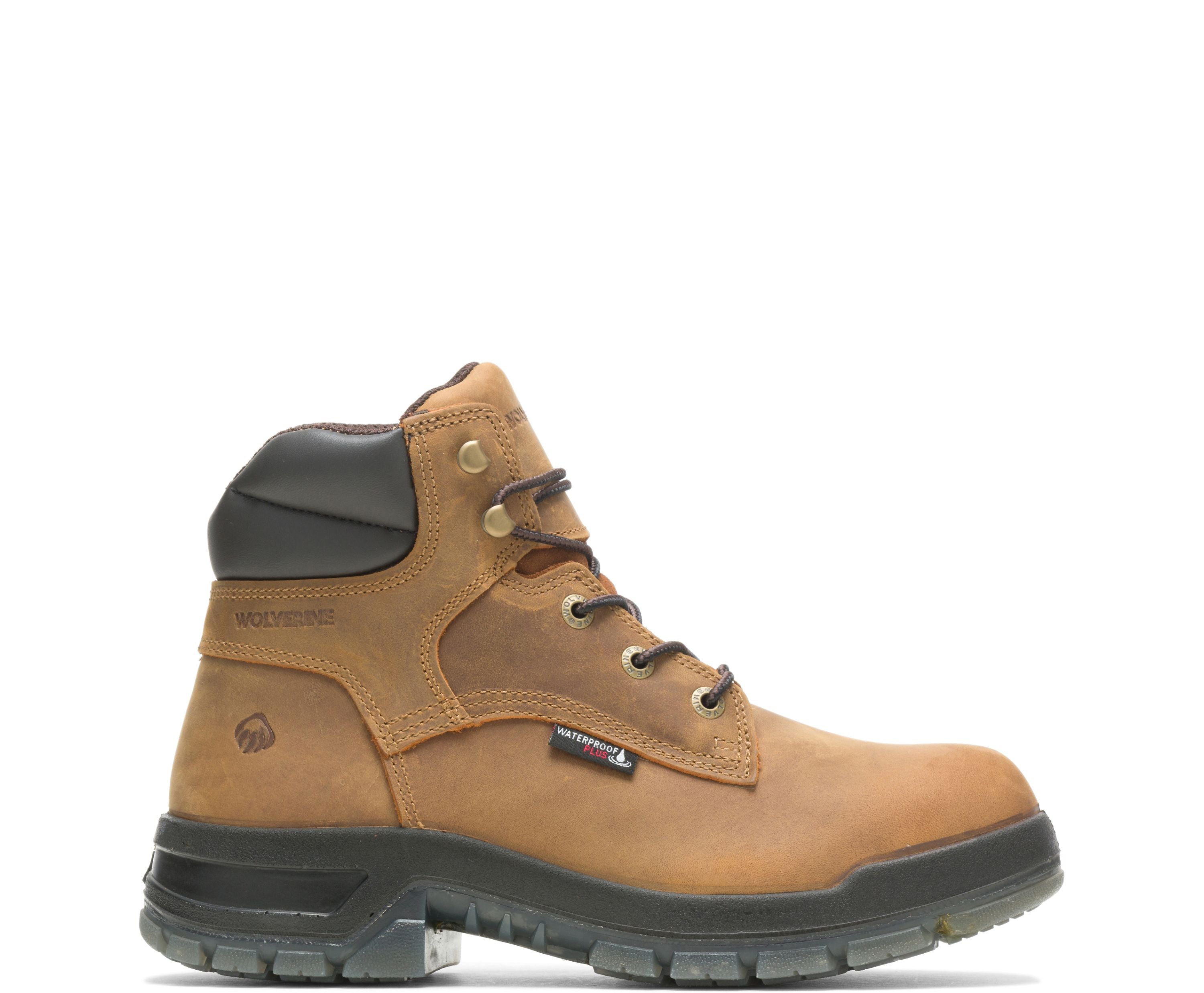 ウーパールーパー Amazon.co.jp: ネイチャーテクニカラー ウーパールーパーと